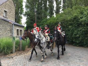 Bild 6 - Eine Abteilung Dragoner vom 2. Regiment reitet vorbei.