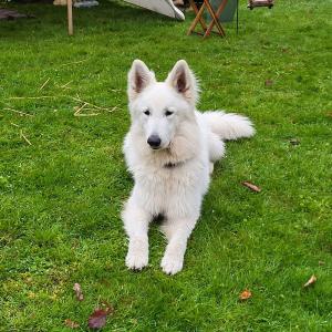 30 Eindeutiger Gewinner ist Chagall