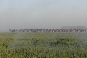 Bild 42 - Um dem feindlichen Feuer zu begegnen entwickelt sich unser Bataillon zur Linie.